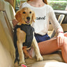 Pet Life ® Road-To-Safety Pet Dog Carseat Harness Securer w/ Detachable Swivel Hook