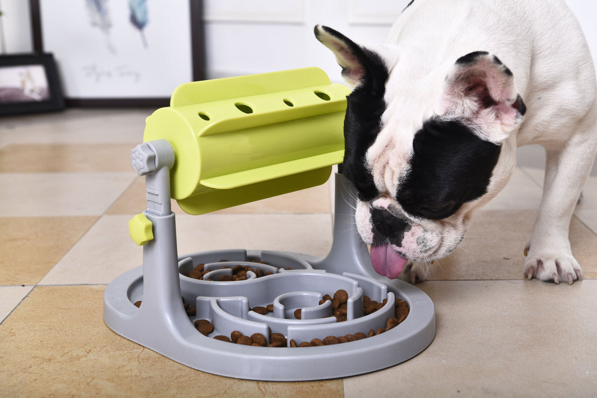 Pet Life Roto Paw IQ Training Interactive Rotating Slow Dog Feeder