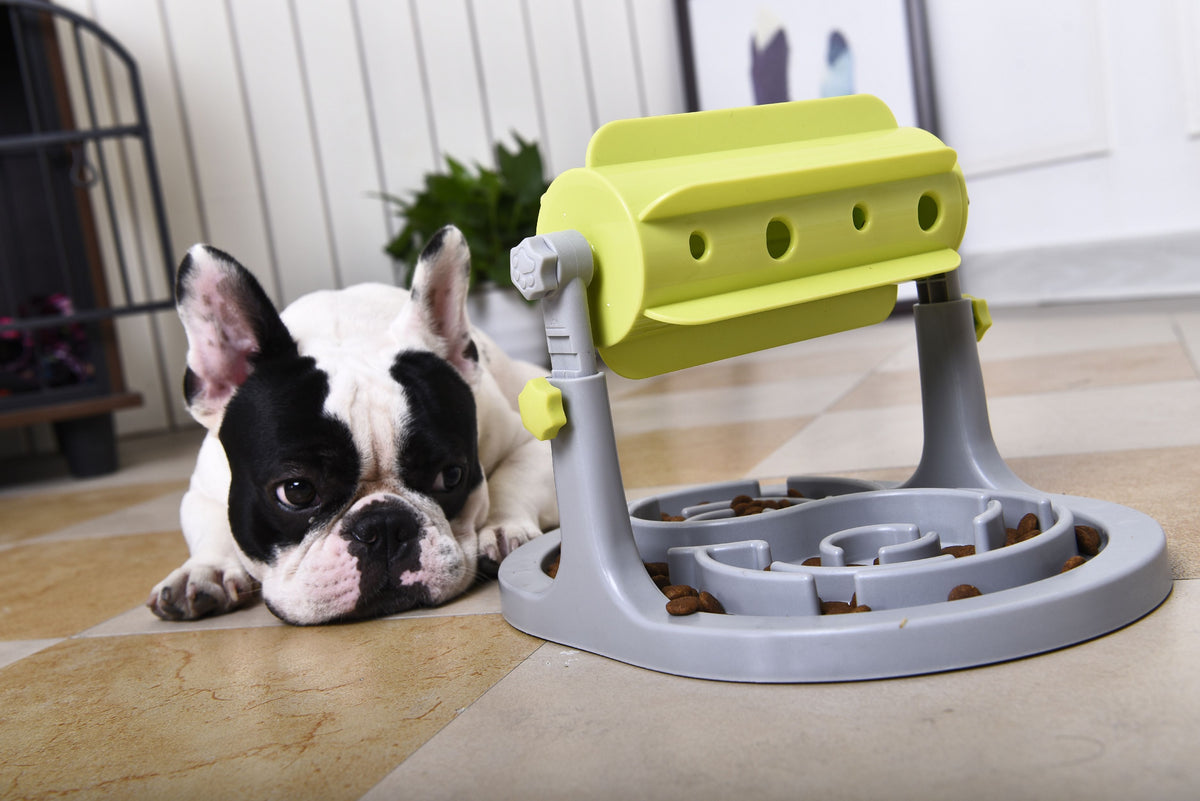 Pet Life Roto Paw IQ Training Interactive Rotating Slow Dog Feeder