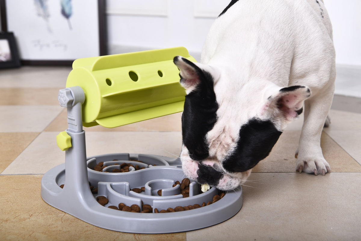 Pet Life Roto Paw IQ Training Interactive Rotating Slow Dog Feeder