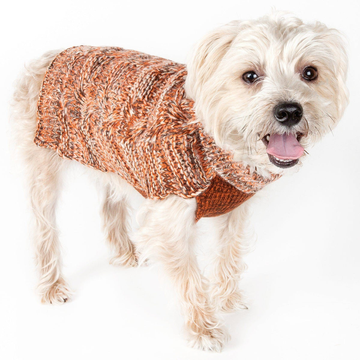 Pet Life Royal Bark Heavy Cable Knitted Designer Fashion Dog Sweater