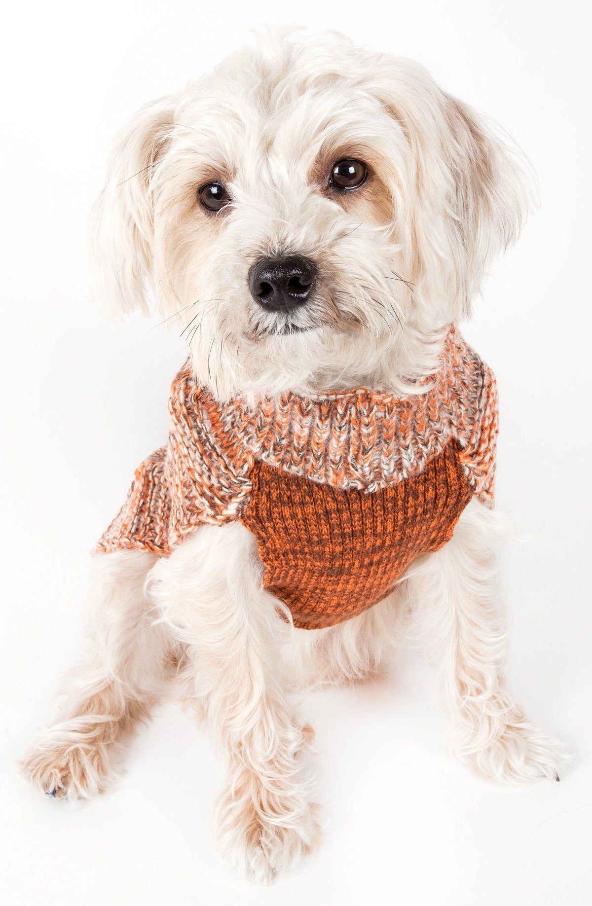 Pet Life Royal Bark Heavy Cable Knitted Designer Fashion Dog Sweater