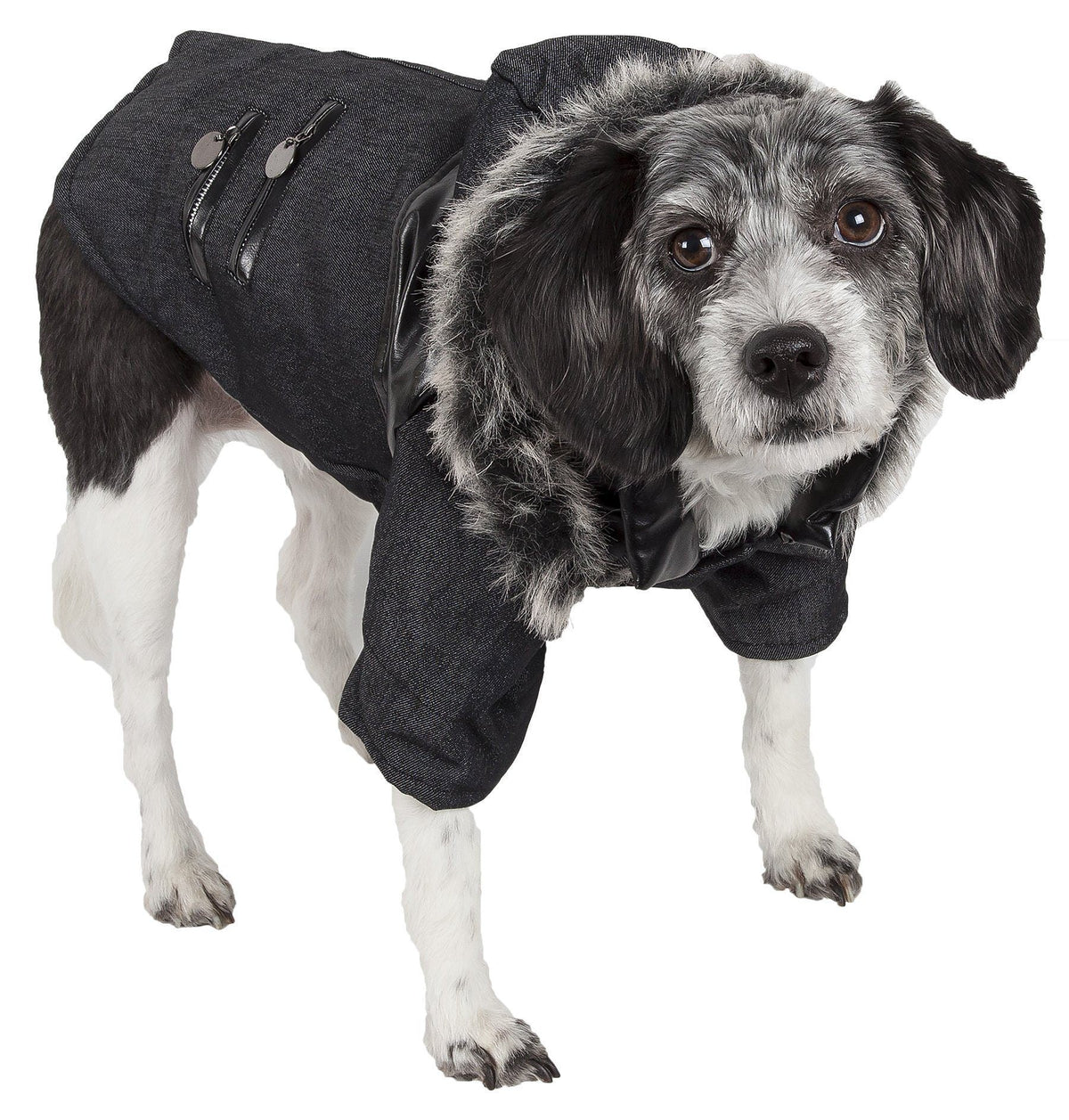 Pet Life Ruff-Choppered Denim Fashioned Wool Dog Coat Jacket
