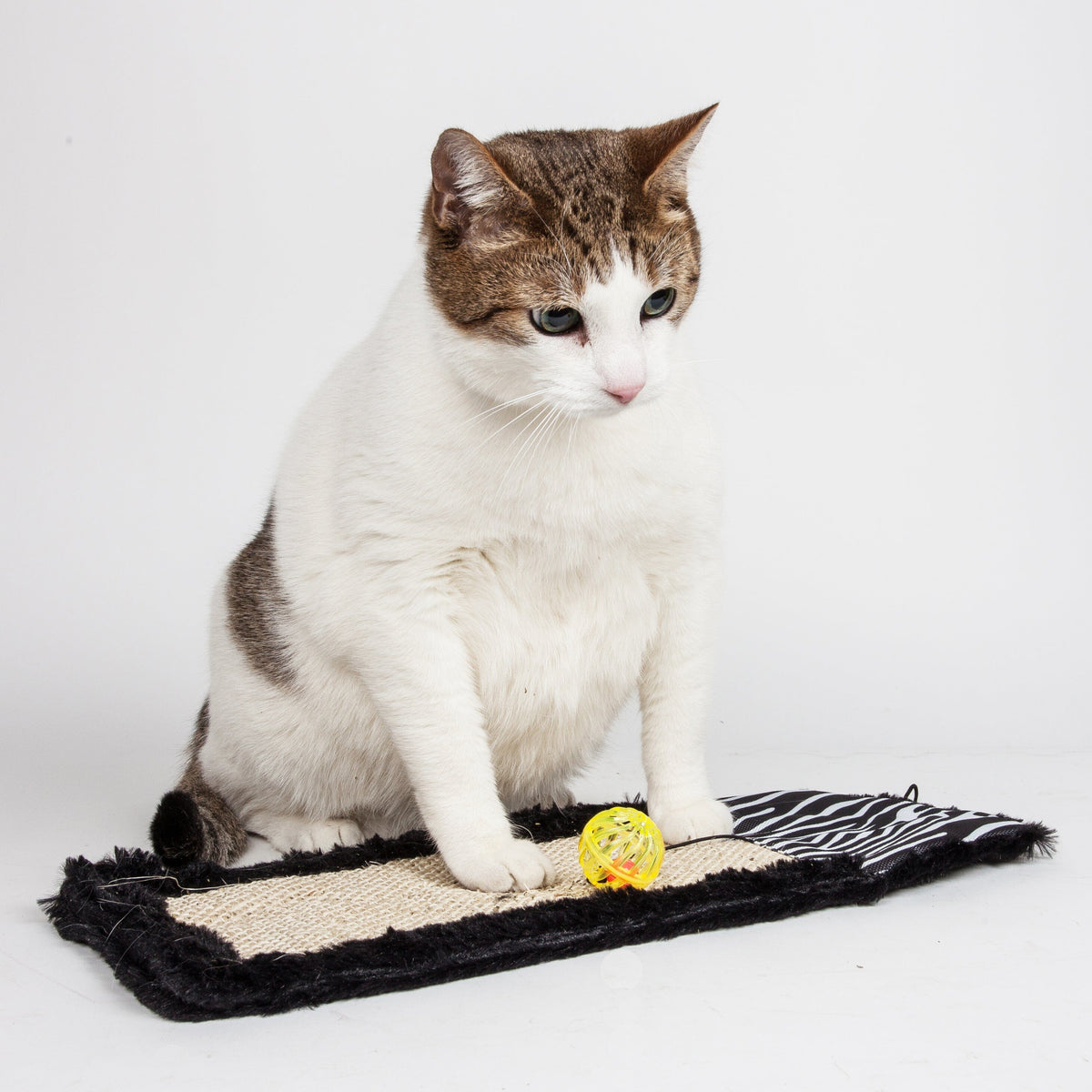 Pet Life Scrape-Away Sisal and Jute Hanging Carpet Cat Scratcher Toy | HT Animal Supply
