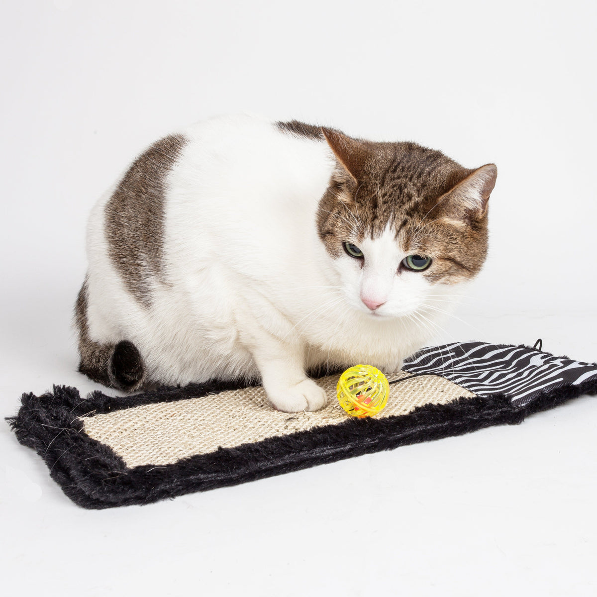 Pet Life Scrape-Away Sisal and Jute Hanging Carpet Cat Scratcher Toy | HT Animal Supply