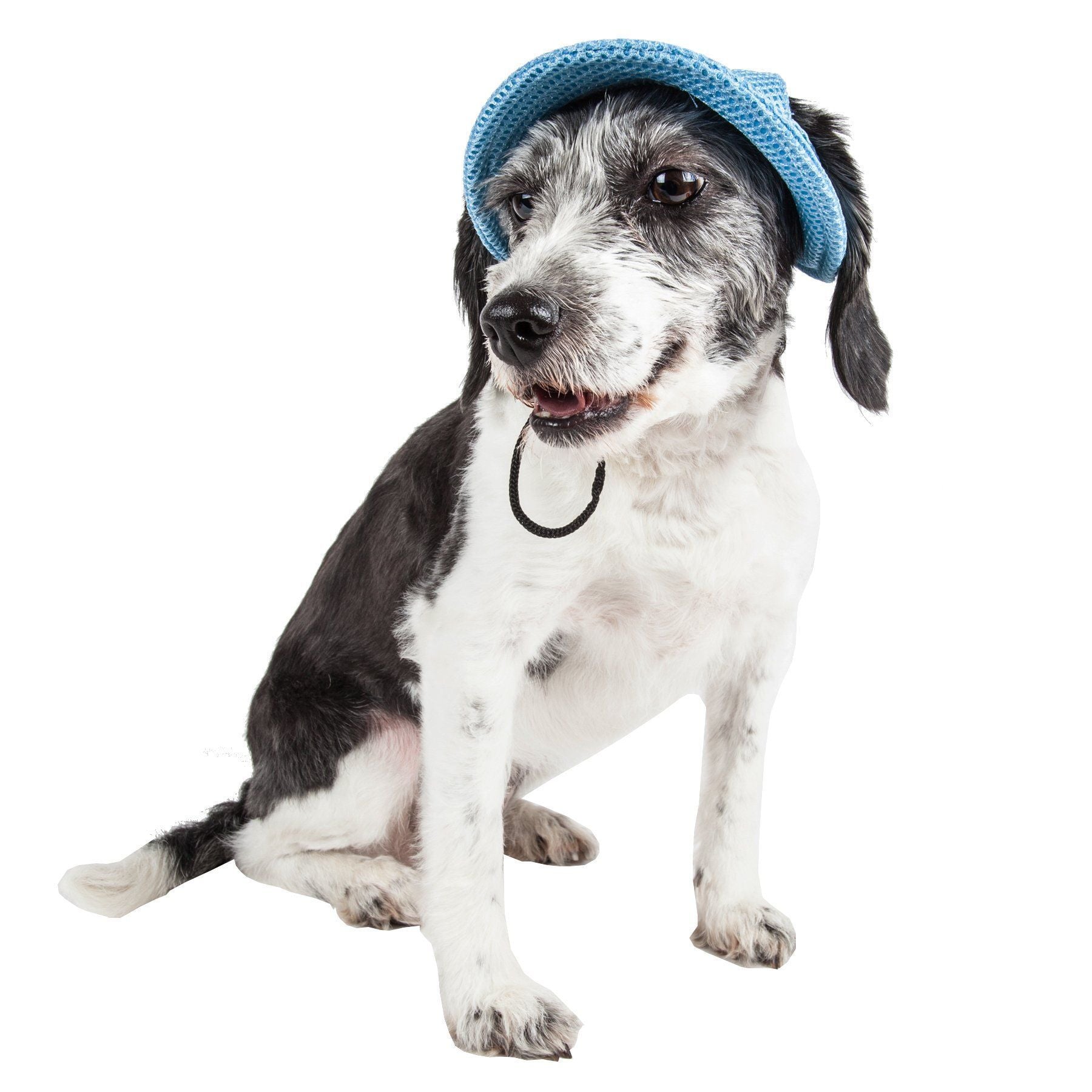 Pet Life Sea Spot Sun UV Protectant Adjustable Fashion Mesh Brimmed Dog Hat Cap