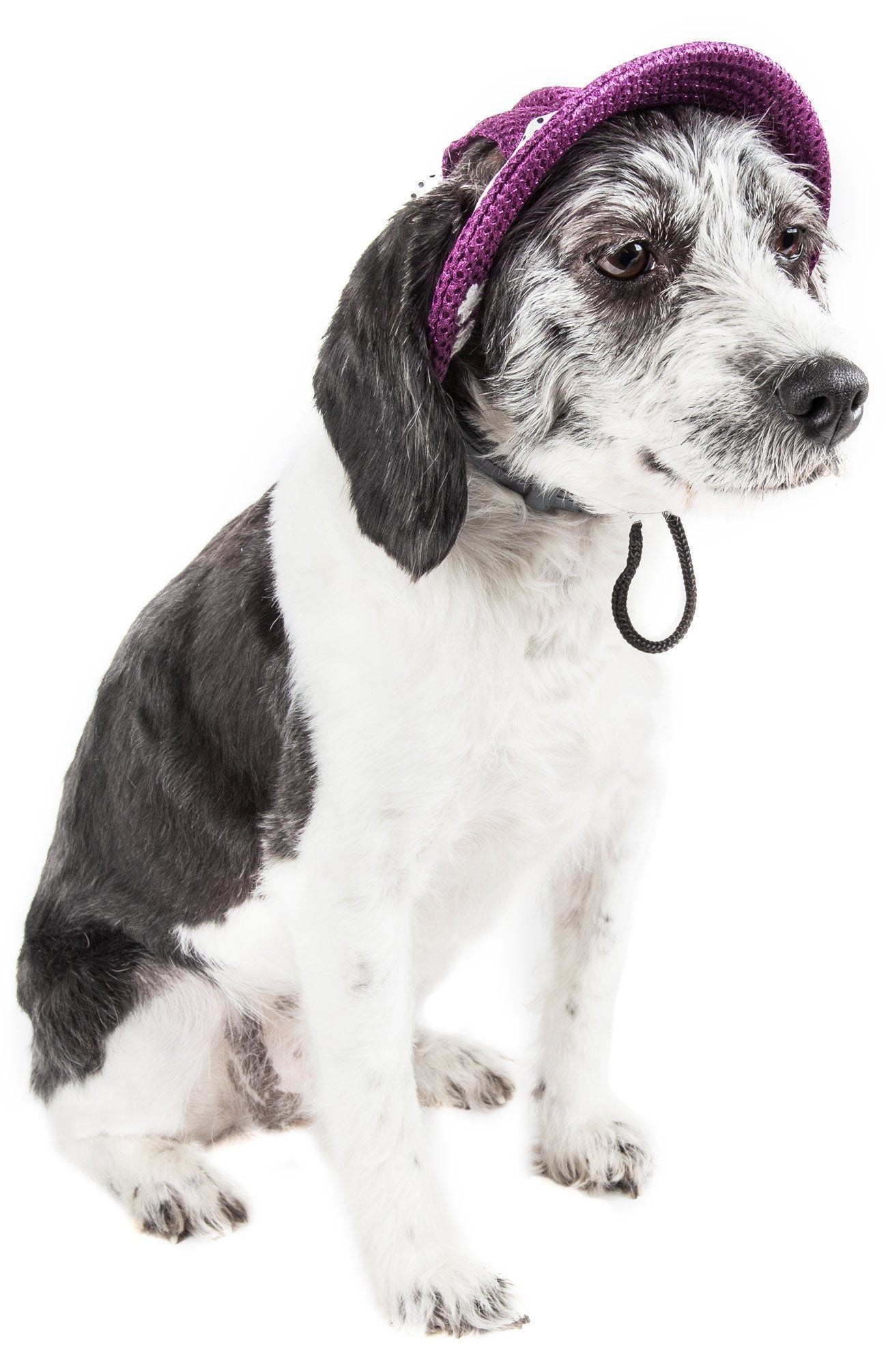 Pet Life Sea Spot Sun UV Protectant Adjustable Fashion Mesh Brimmed Dog Hat Cap
