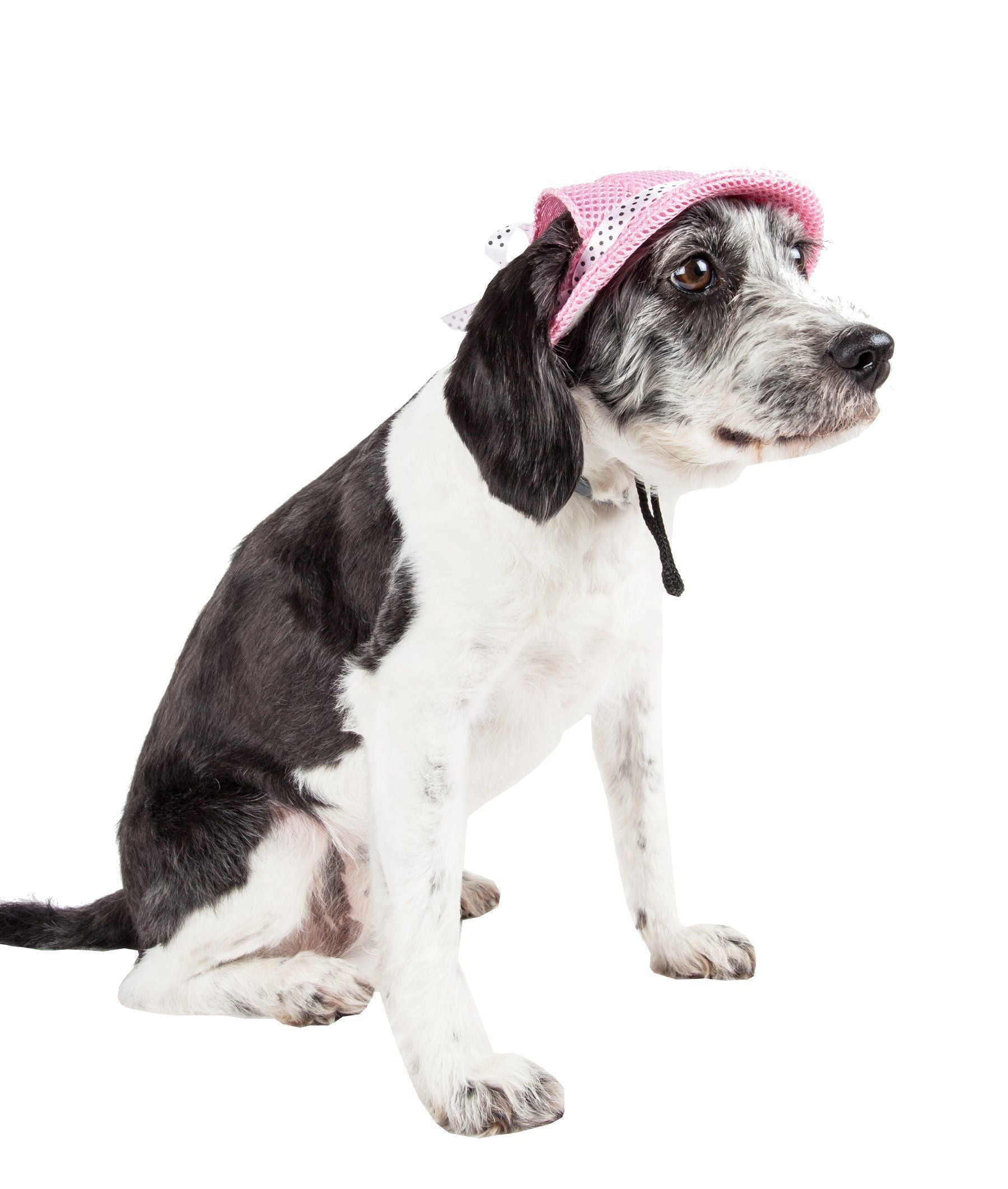 Pet Life Sea Spot Sun UV Protectant Adjustable Fashion Mesh Brimmed Dog Hat Cap