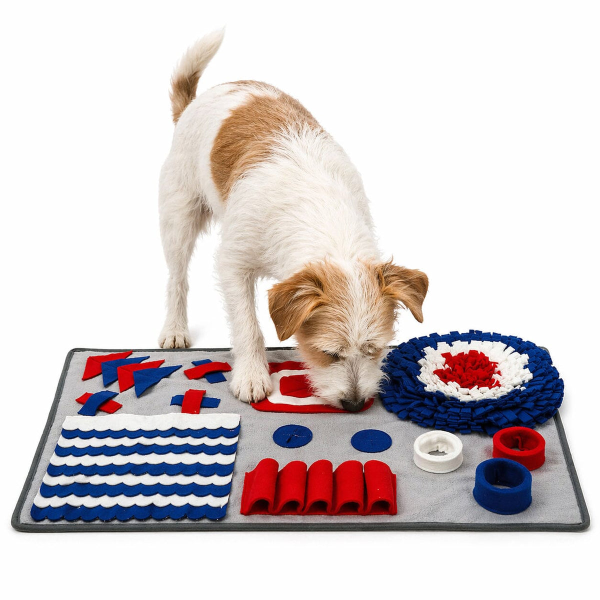 Pet Life Sniffer Snack Interactive Feeding Pet Snuffle Mat | HT Animal Supply