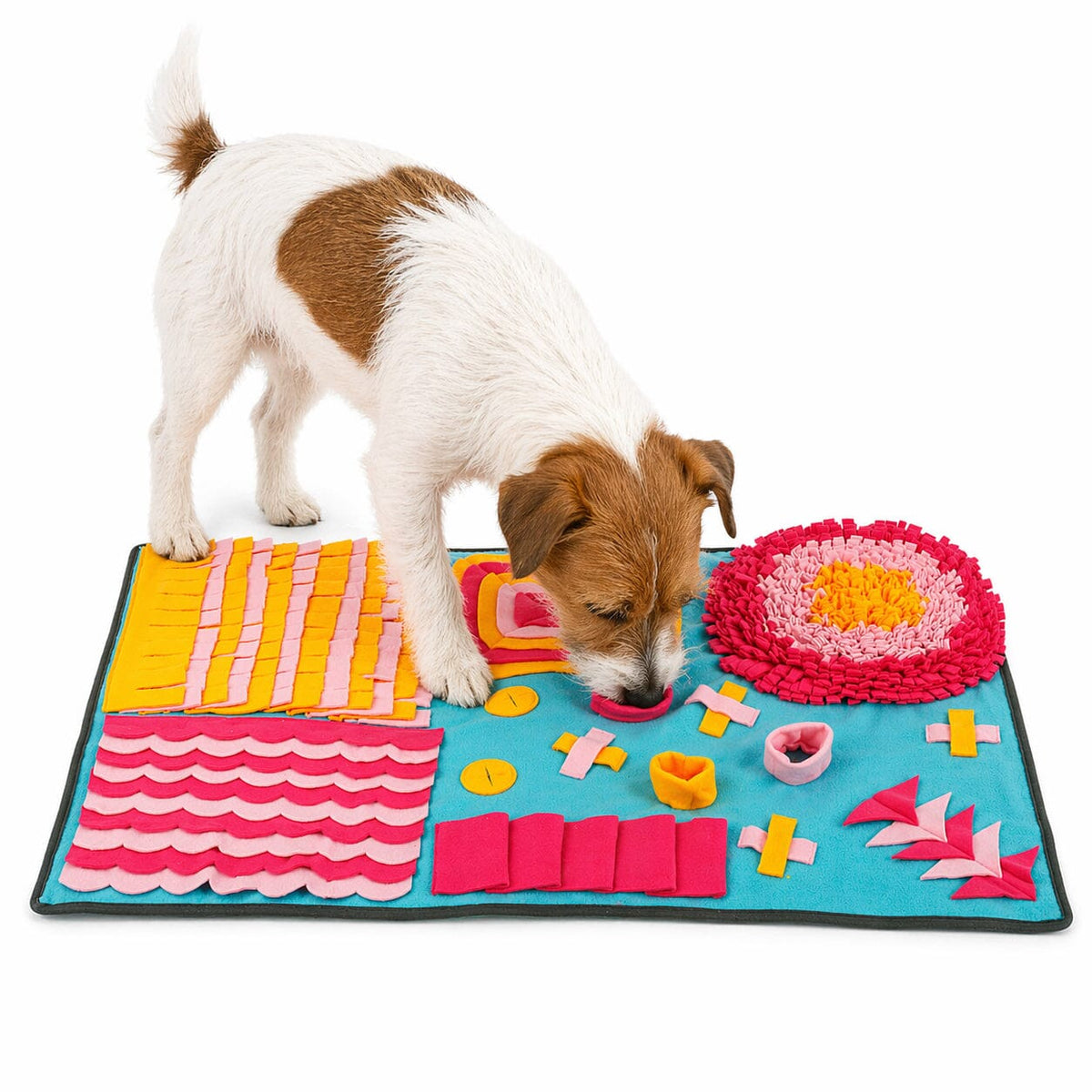 Pet Life Sniffer Snack Interactive Feeding Pet Snuffle Mat | HT Animal Supply