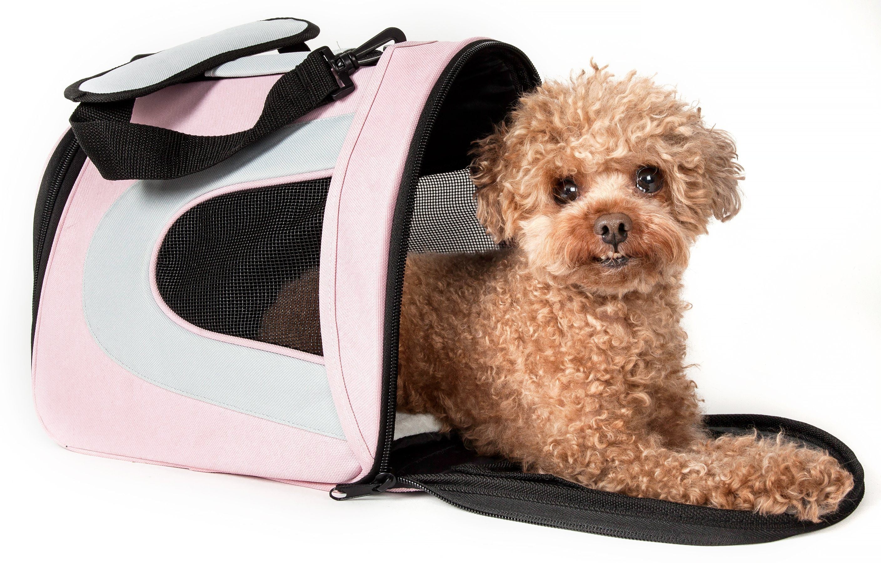 Pet Life Sporty Mesh Airline Approved Zippered Folding Collapsible Travel Pet Dog Carrier