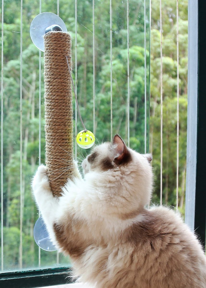 Pet Life Stick N Claw Sisal Rope and Toy Suction Cup Stick Shaped Cat Scratcher