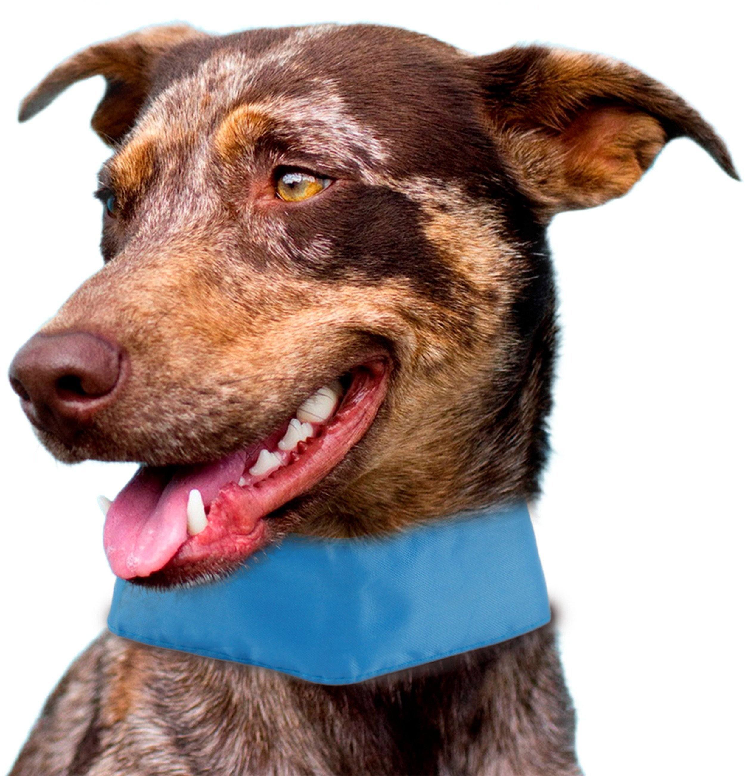 Pet Life ® Summer-Cooling Ice Insertable and Adjustable Cooling Dog Neck Wrap