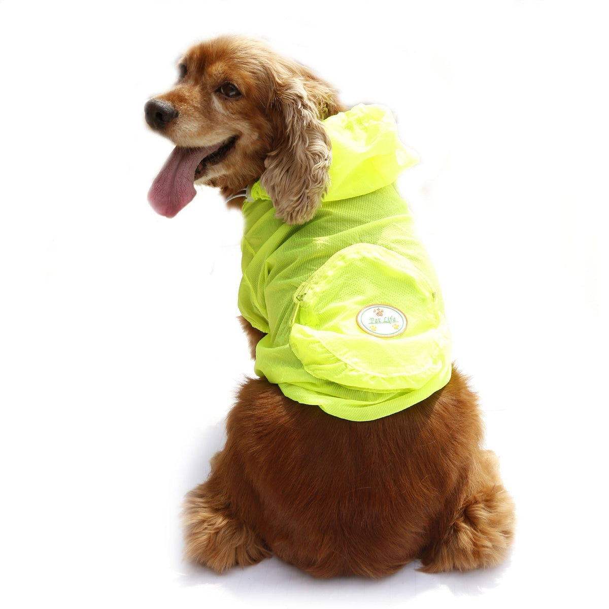 Pet Life Thunder Paw Ultimate Waterproof Collapsible Multi-Adjustable Travel Dog Raincoat