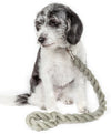 Pet Life Tough-Tugger Industrial-Strength Shock Absorption Woven Pet Dog Leash