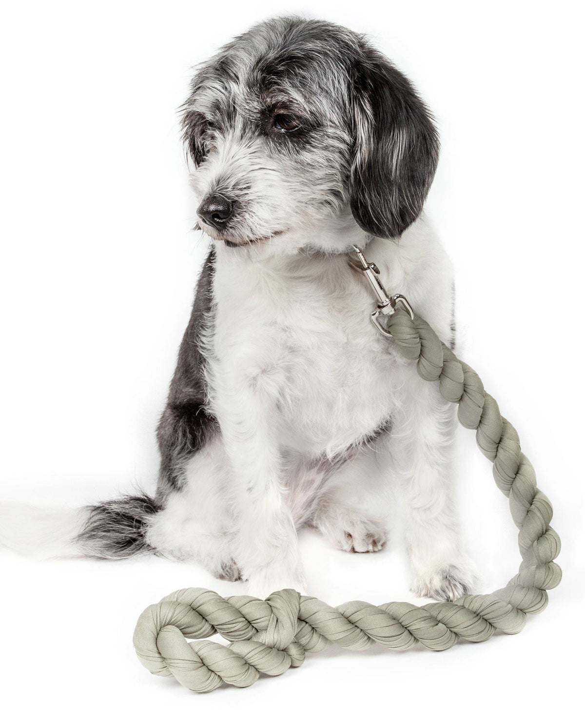 Pet Life Tough-Tugger Industrial-Strength Shock Absorption Woven Pet Dog Leash