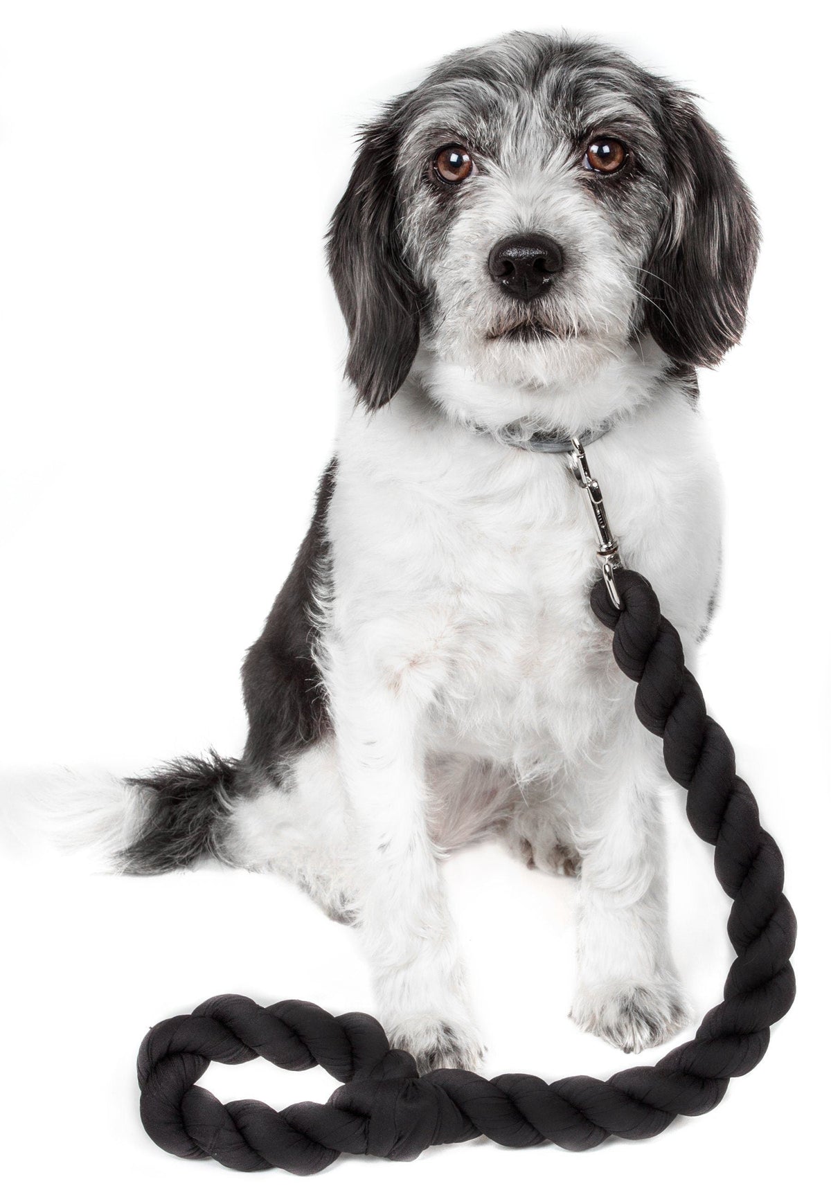 Pet Life Tough-Tugger Industrial-Strength Shock Absorption Woven Pet Dog Leash