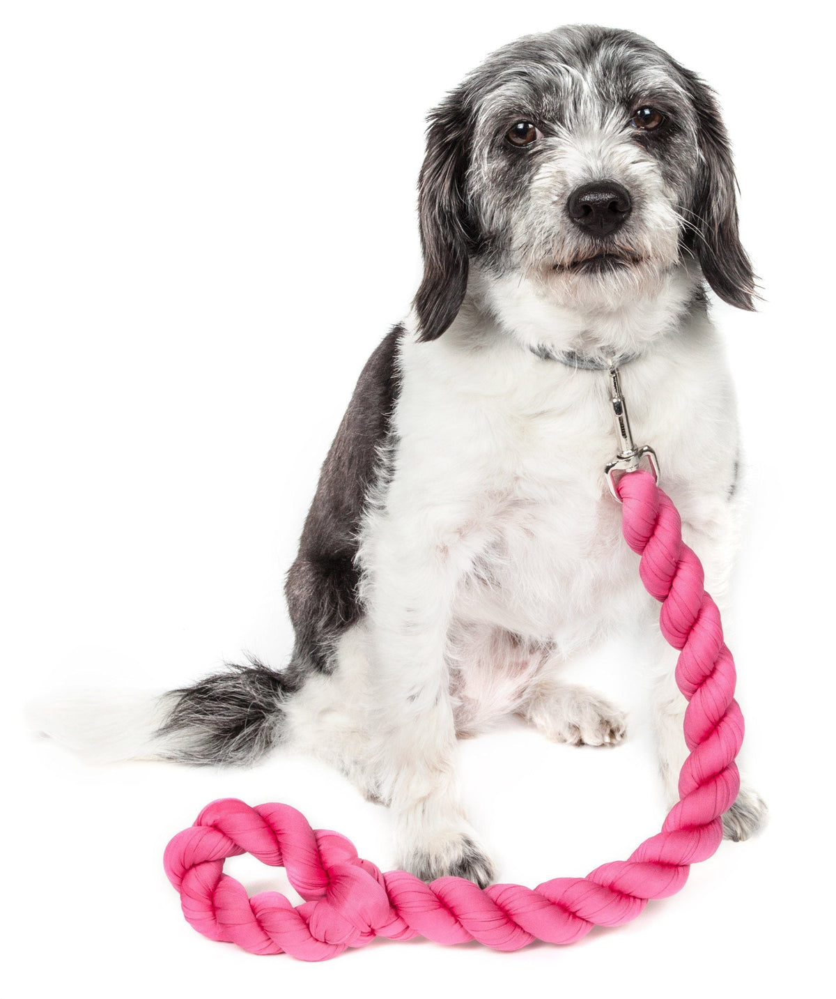 Pet Life Tough-Tugger Industrial-Strength Shock Absorption Woven Pet Dog Leash