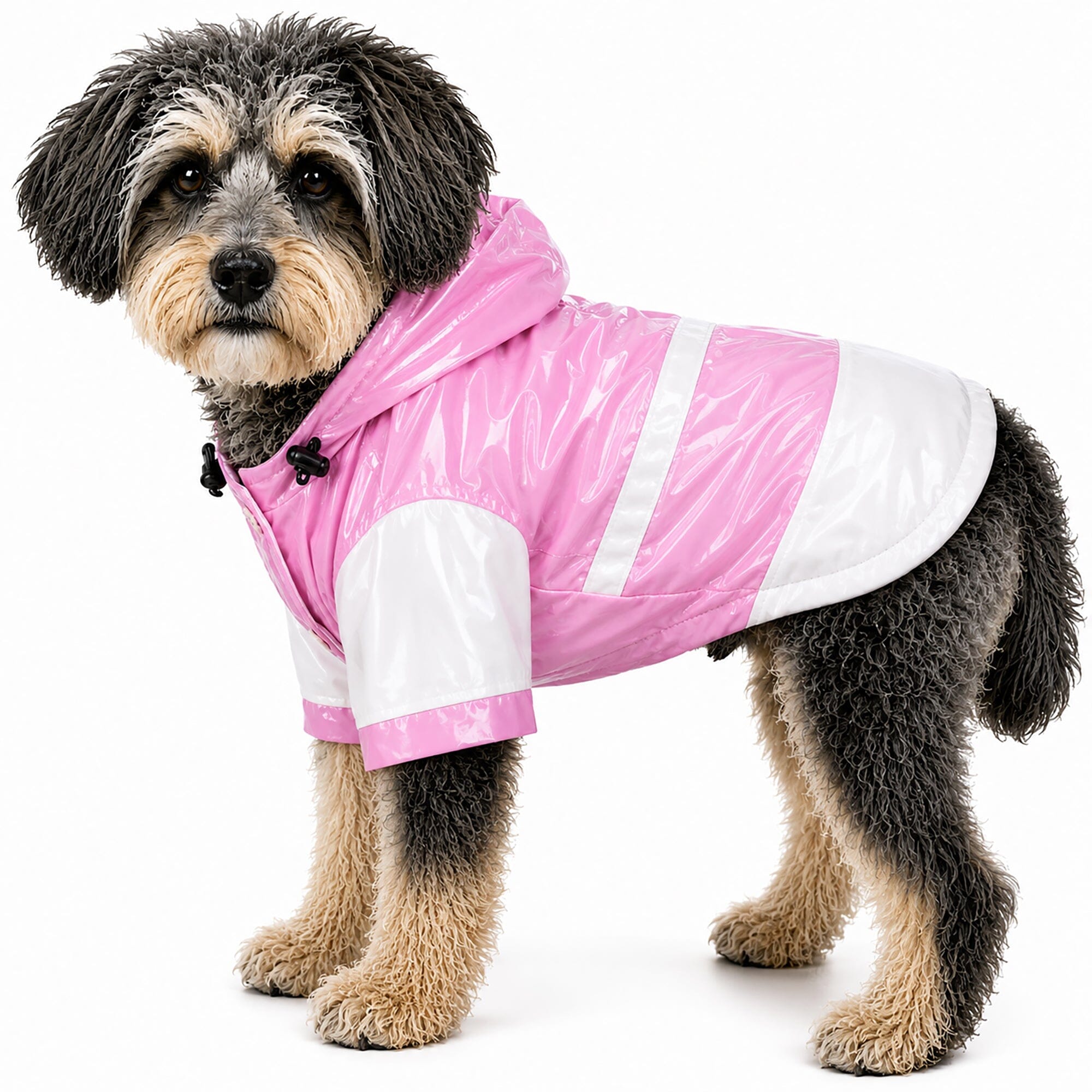 Pet Life Two-Tone Waterproof Adjustable Dog Raincoat Jacket w/ Removable Hood | HT Animal Supply