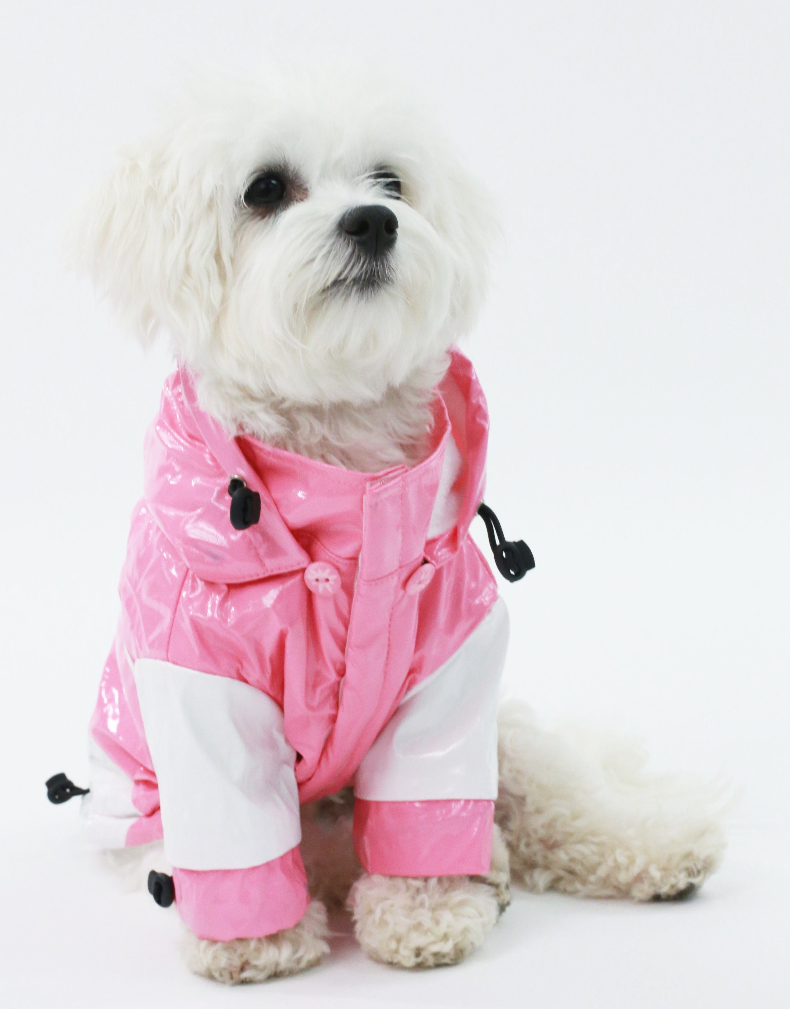 Pet Life Two-Tone Waterproof Adjustable Dog Raincoat Jacket w/ Removable Hood