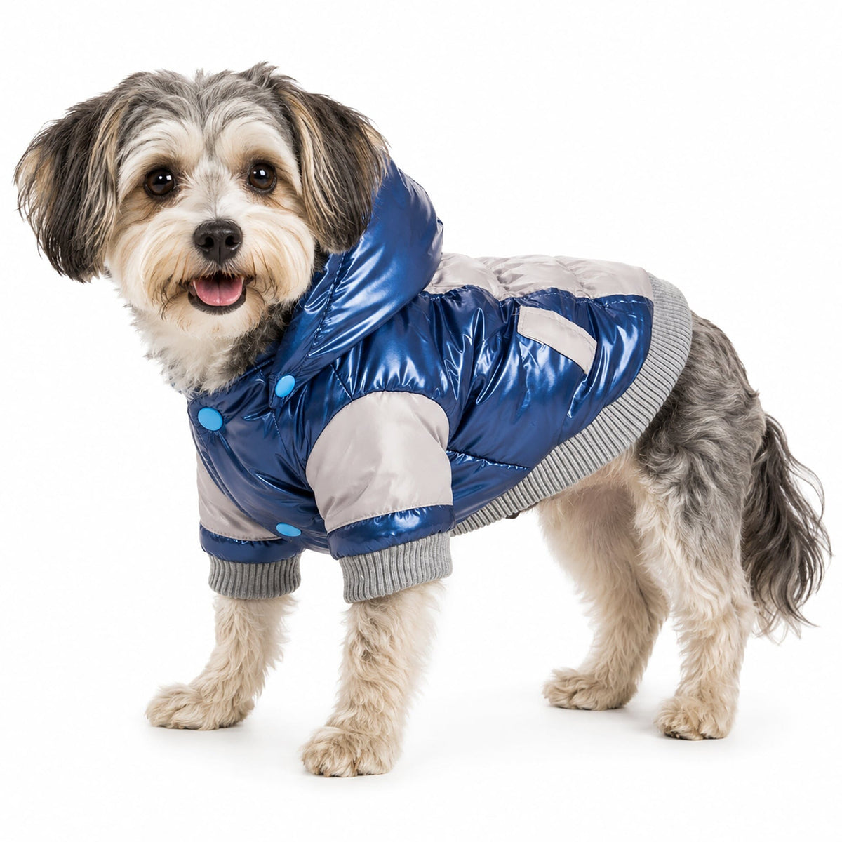 Pet Life Vintage Aspen 3M Insulated Sporty Ski Dog Jacket w/ Removable Hood | HT Animal Supply