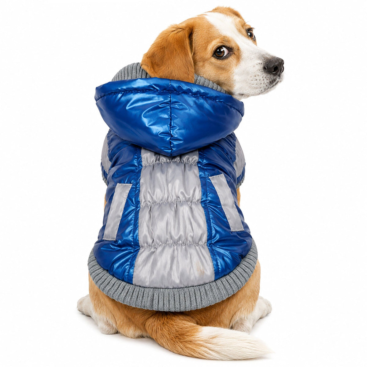 Pet Life Vintage Aspen 3M Insulated Sporty Ski Dog Jacket w/ Removable Hood | HT Animal Supply