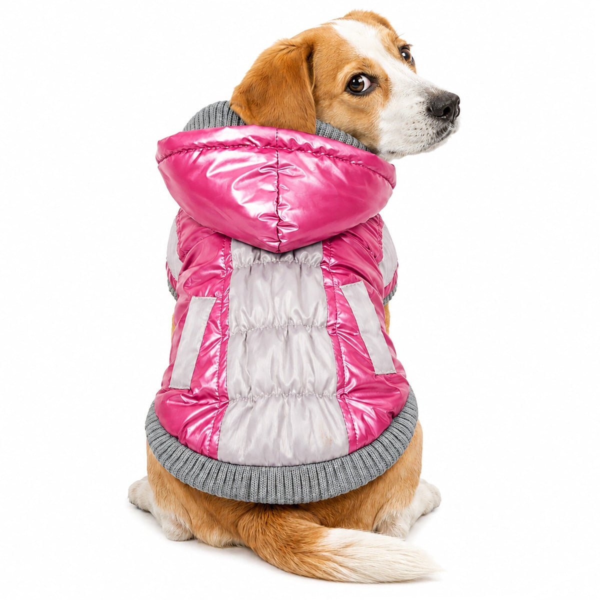 Pet Life Vintage Aspen 3M Insulated Sporty Ski Dog Jacket w/ Removable Hood | HT Animal Supply