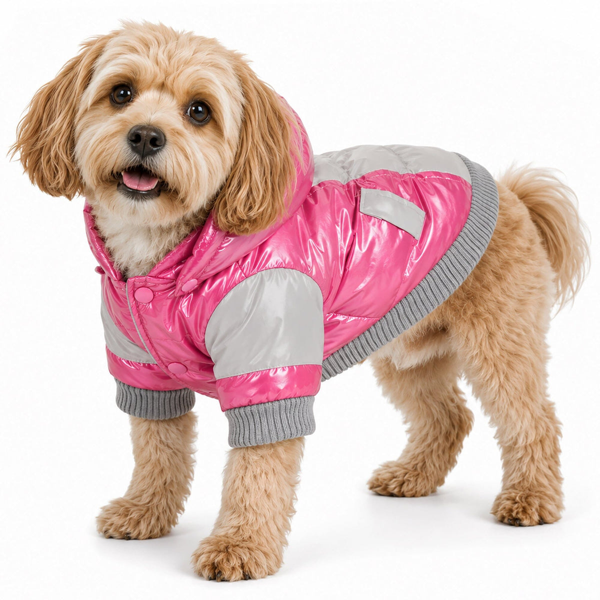 Pet Life Vintage Aspen 3M Insulated Sporty Ski Dog Jacket w/ Removable Hood | HT Animal Supply