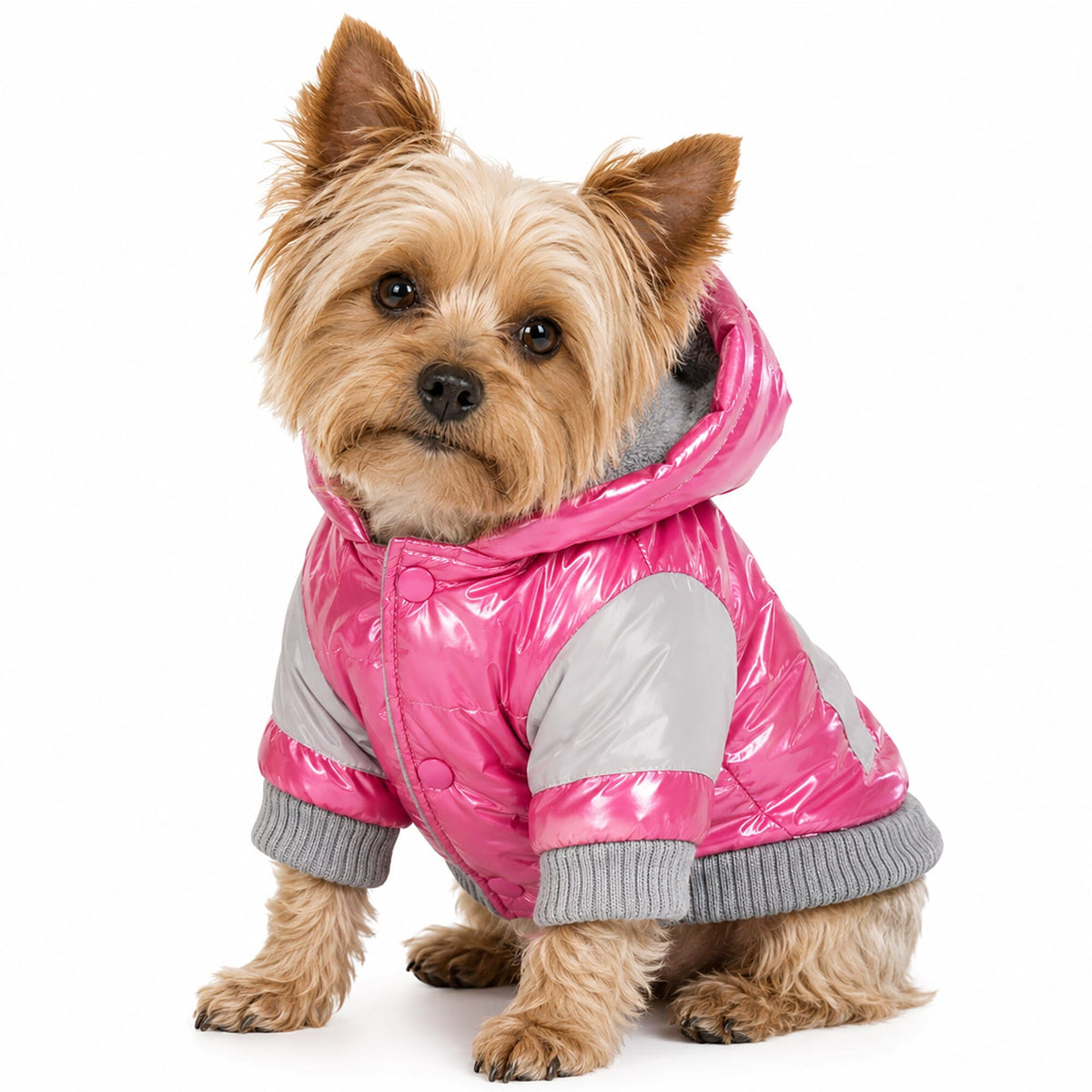 Pet Life Vintage Aspen 3M Insulated Sporty Ski Dog Jacket w/ Removable Hood | HT Animal Supply
