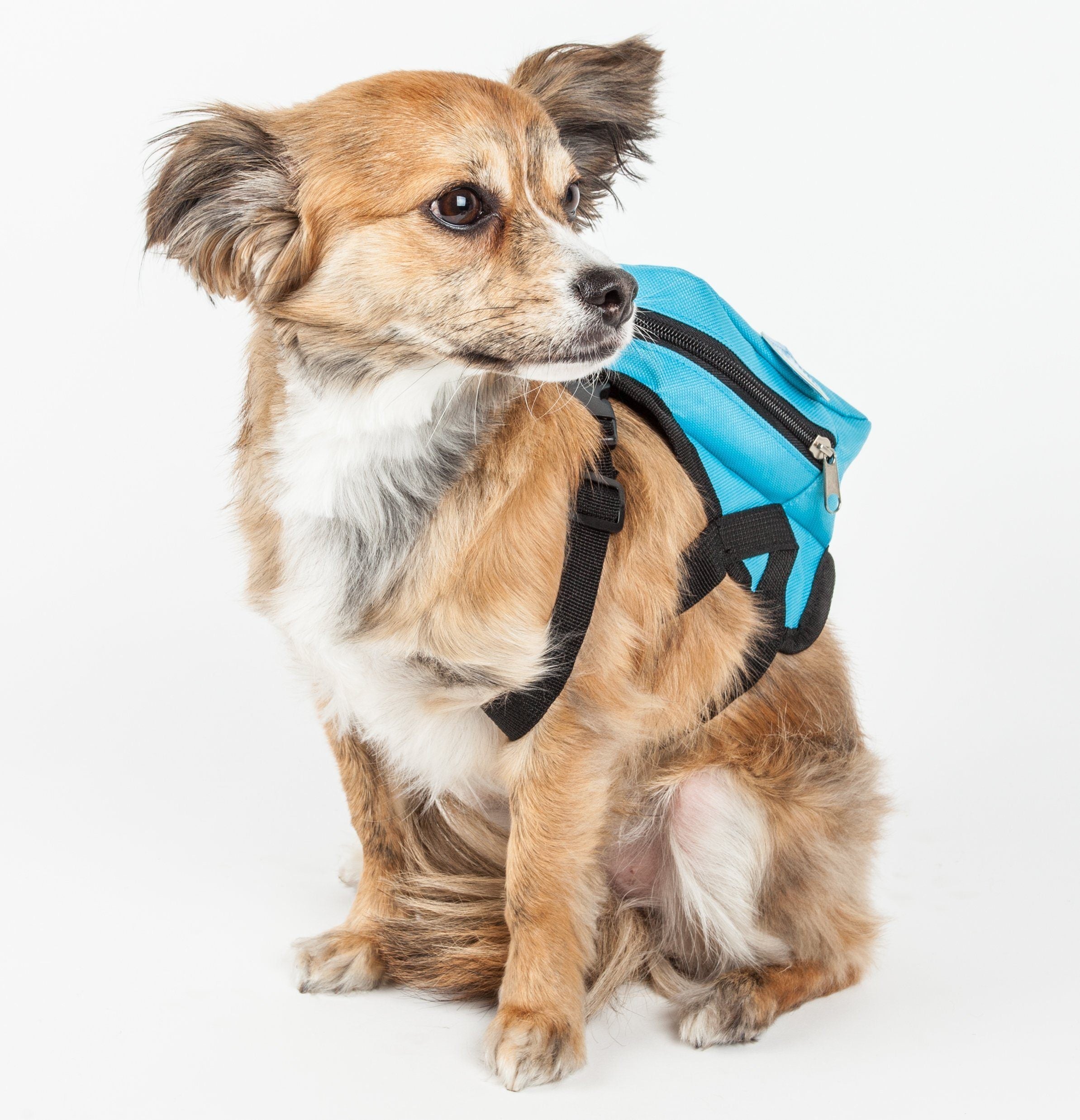 Pet Life Waggler Hobbler Large-Pocketed Animated Fashion Dog Harness Backpack