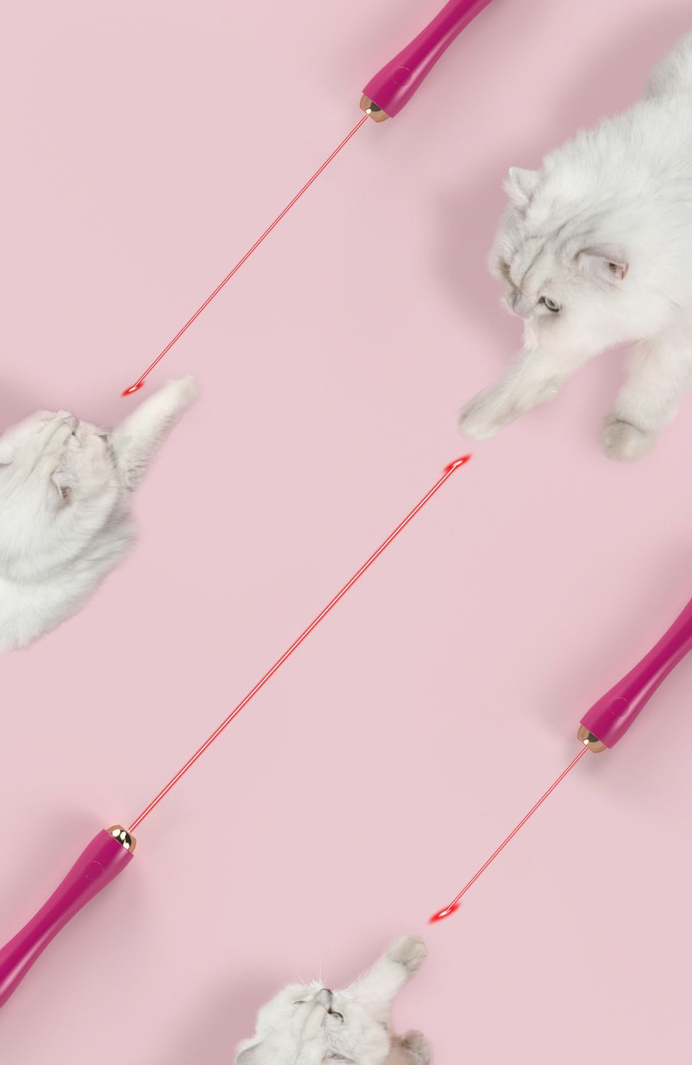 Pet Life Wander-cat Customizeable and Extendable 10-in-1 Attachment Laser Cat Teaser