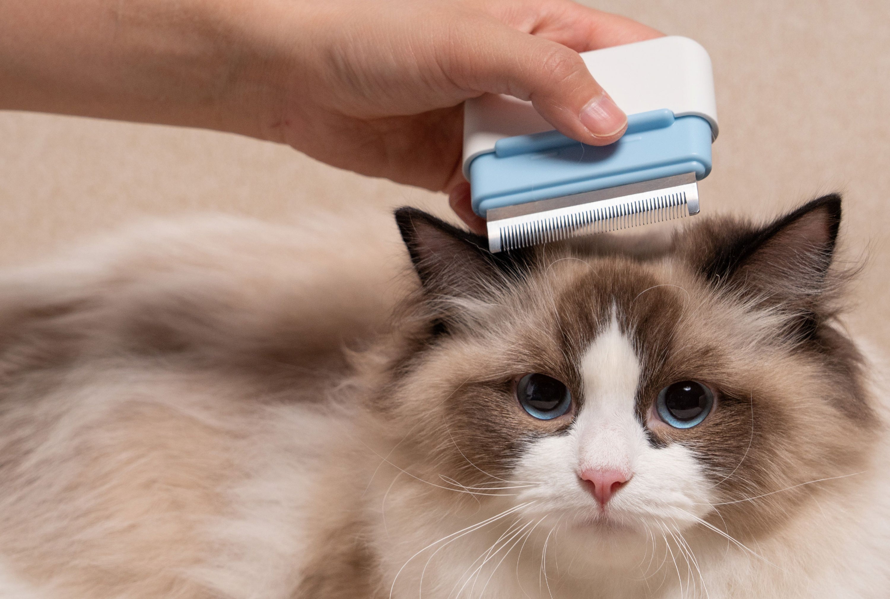 Pet Life Zipocket 2-in-1 Underake and Stainless Steel Travel Grooming Pet Comb