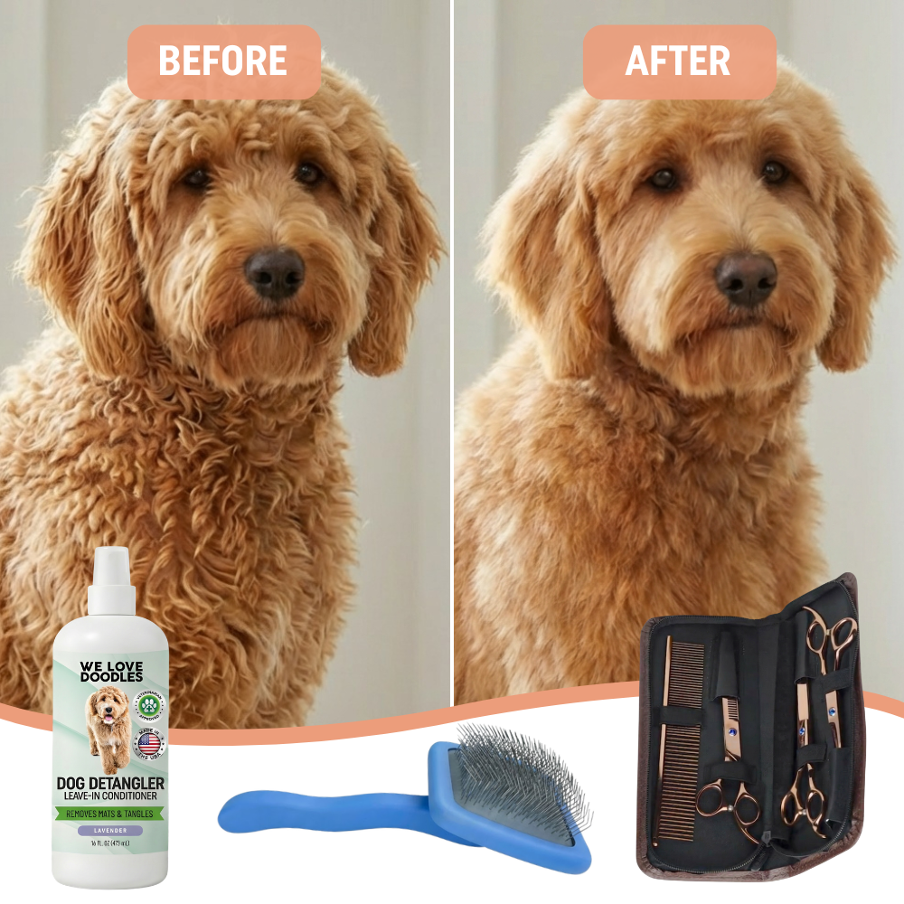 Ultimate At-Home Grooming Pack + Organizer Bag