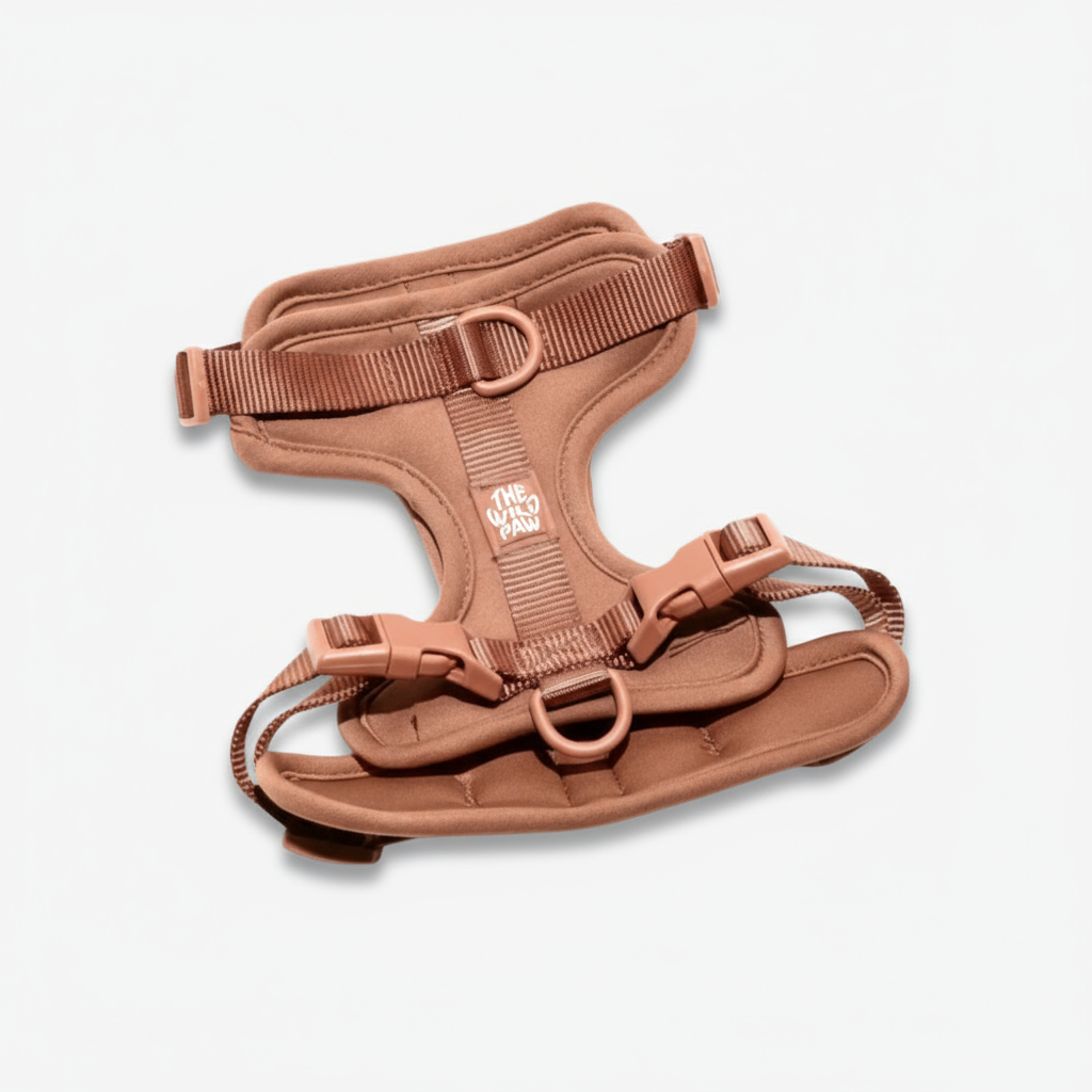 AdventurePro Harness