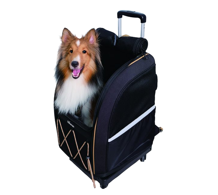 Champion Large Dog Carrier Backpack with Window