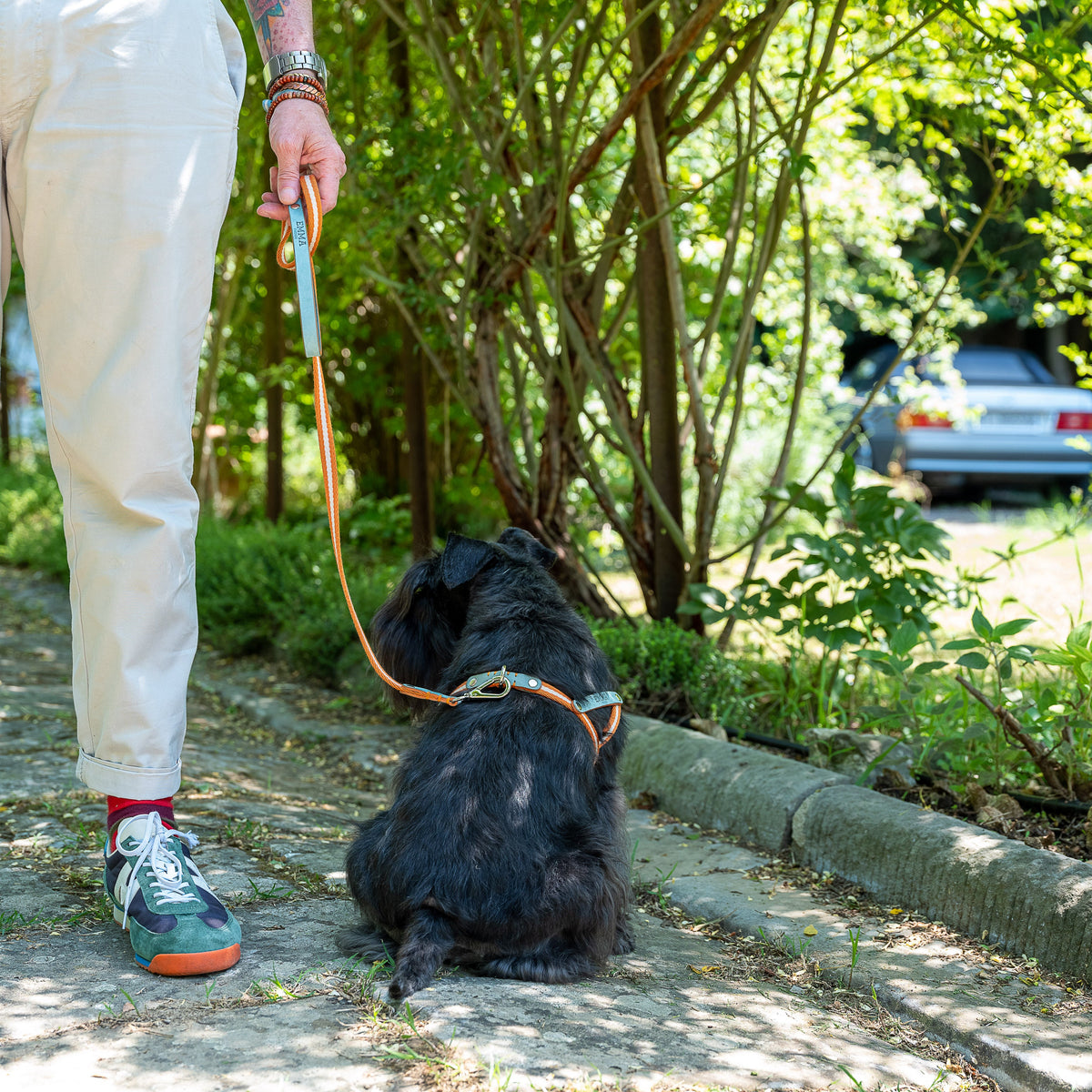 Nubuck Celestial-Leash