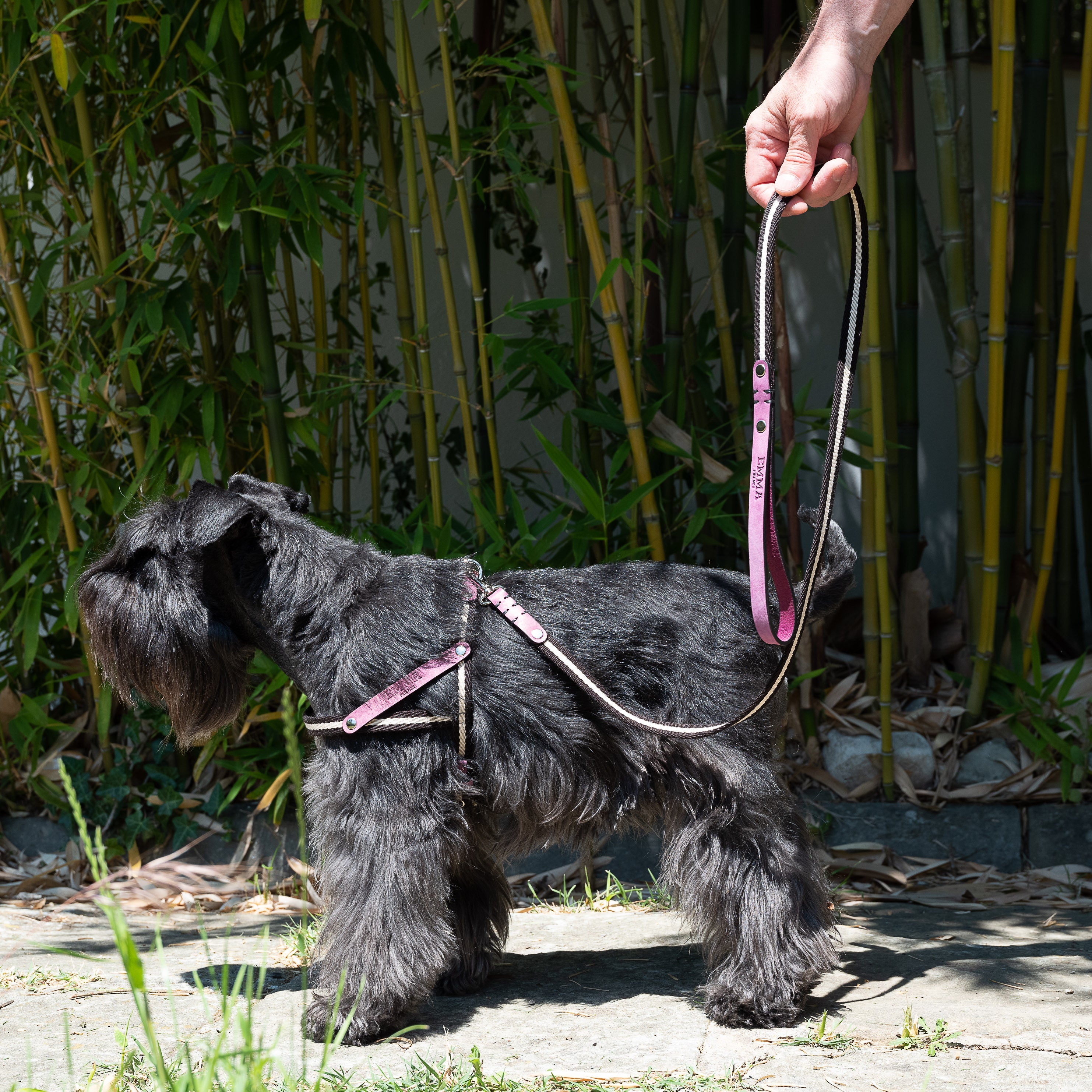 Nubuck Fuchsia-Leash