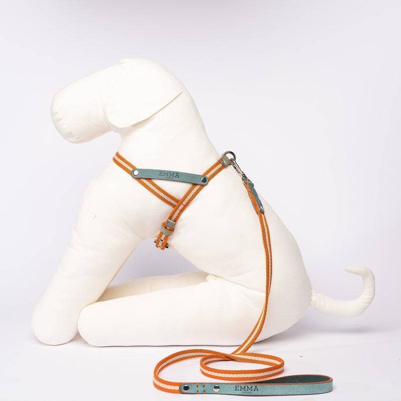 Nubuck Celestial-Harness