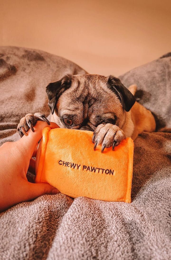 Pawty Chewy Pawtton Designer Plush Dog Toy