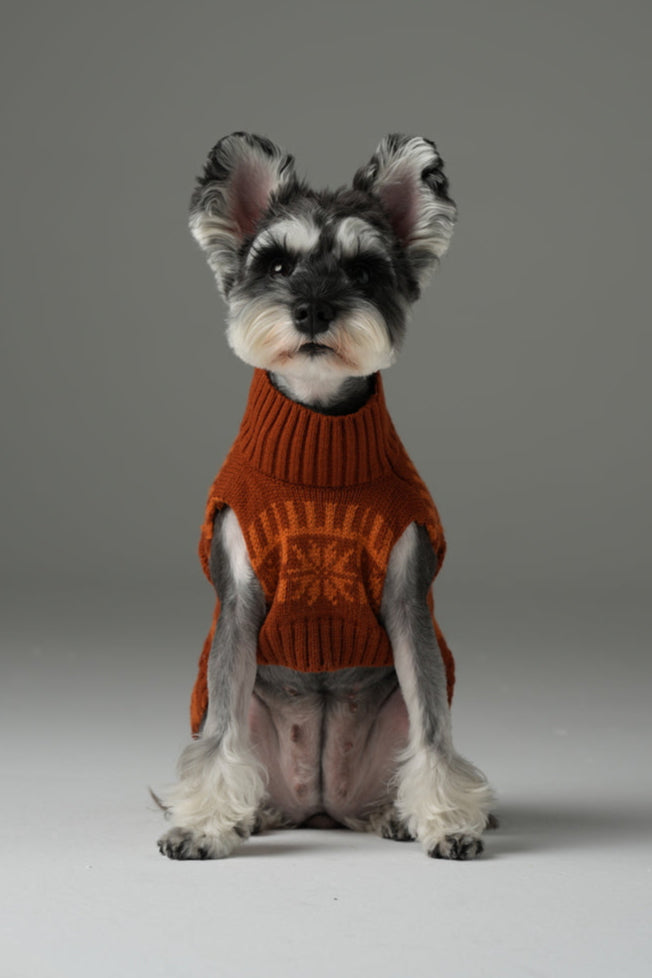 Pretzel Pet Sweater-Toffee Orange