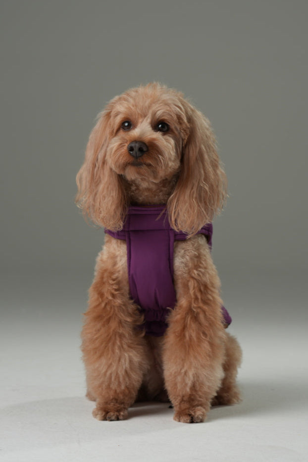 Reversible Dog Vest Jacket-Purple Caramel