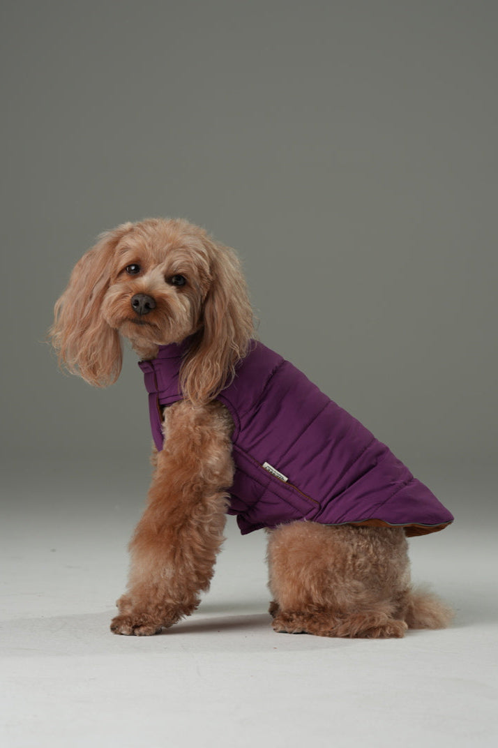 Reversible Dog Vest Jacket-Purple Caramel