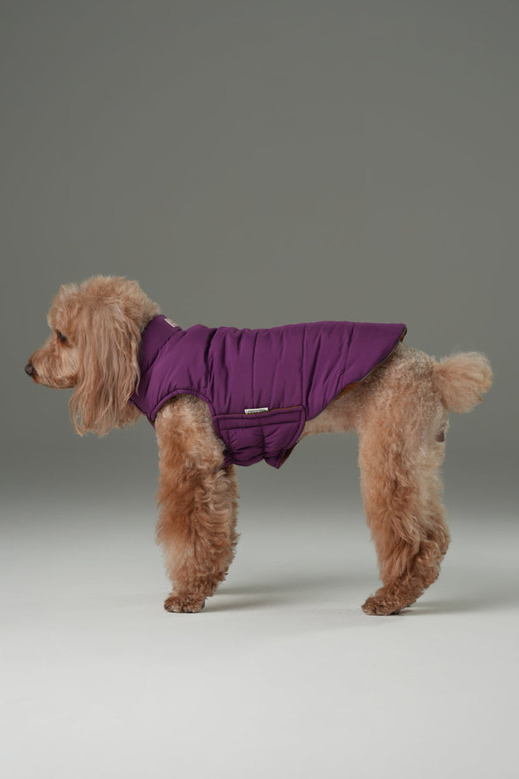 Reversible Dog Vest Jacket-Purple Caramel