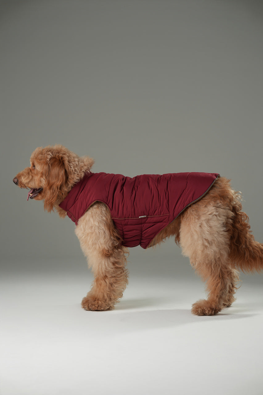 Reversible Dog Vest Jacket-Red Brown