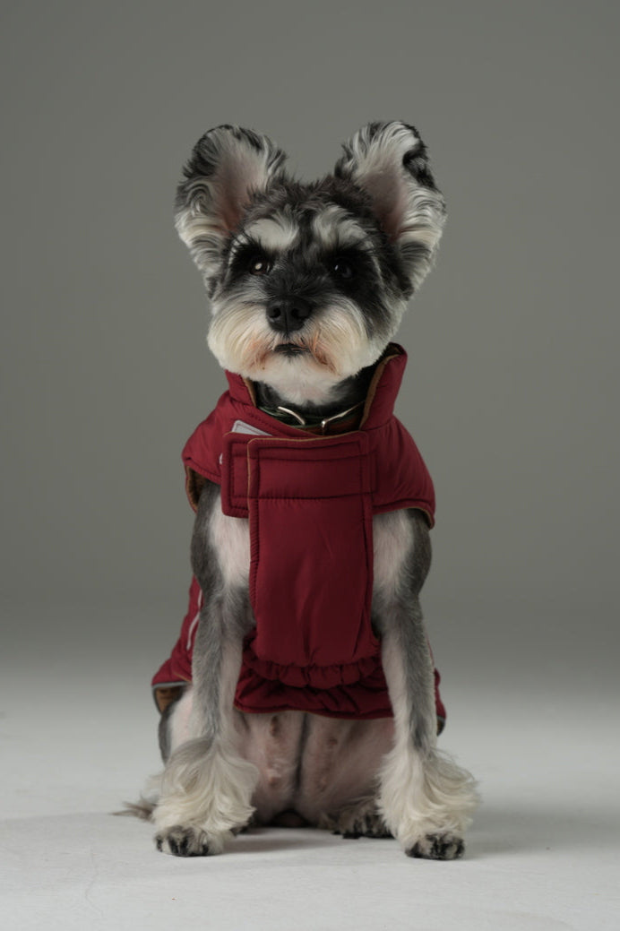 Reversible Dog Vest Jacket-Red Brown