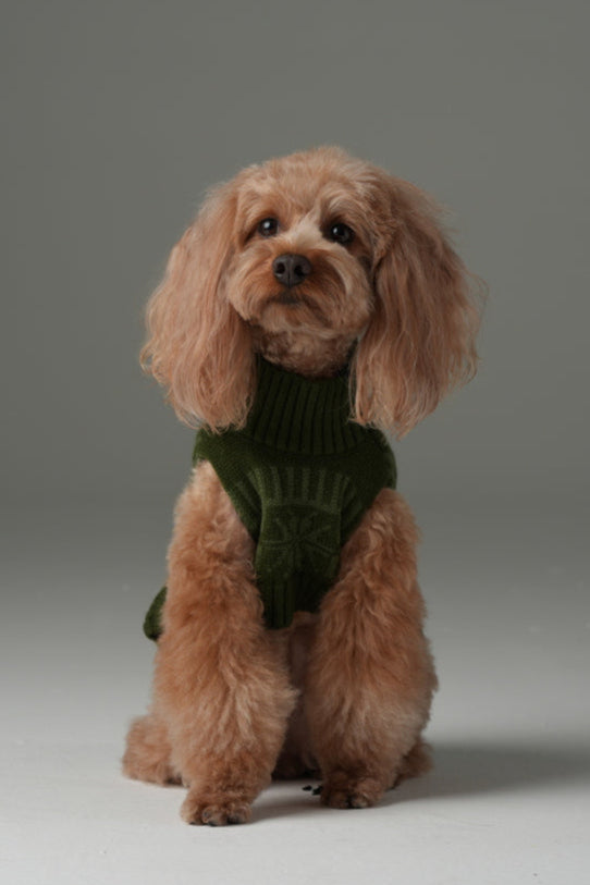 Pretzel Pet Sweater-Olive Green