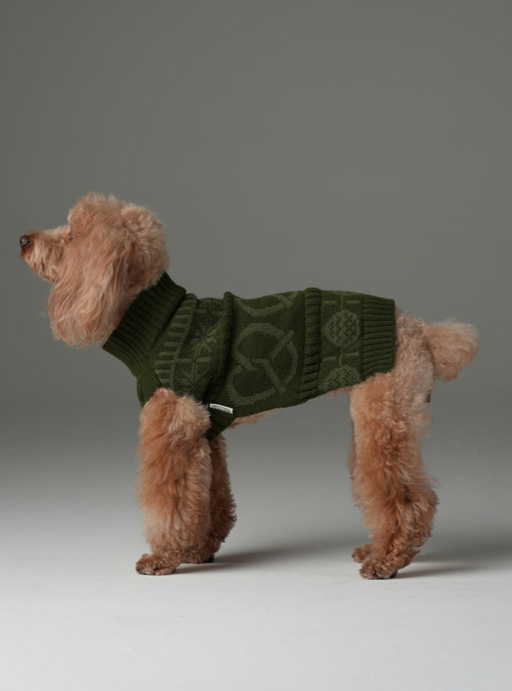 Pretzel Pet Sweater-Olive Green