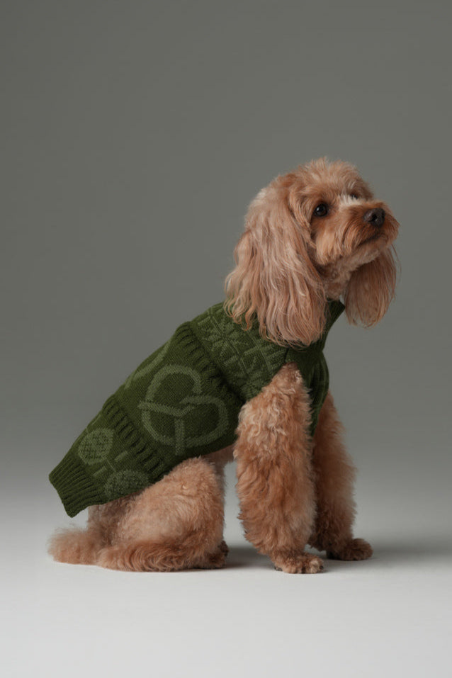 Pretzel Pet Sweater-Olive Green