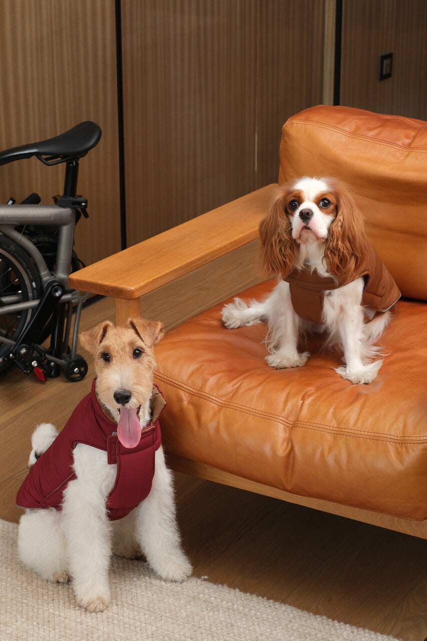 Reversible Dog Vest Jacket-Red Brown