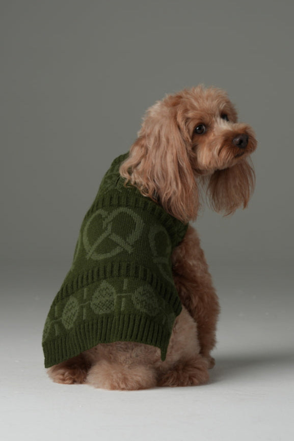Pretzel Pet Sweater-Olive Green